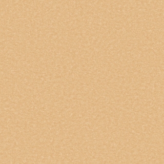 TP工程(2G2606)