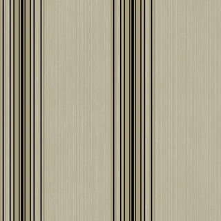 黑色線條(177011)