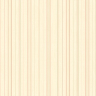 細緻線條_俏皮橘(NA5804)