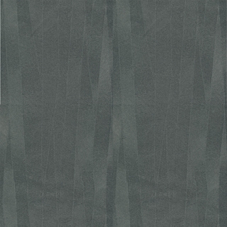 209(209095)
