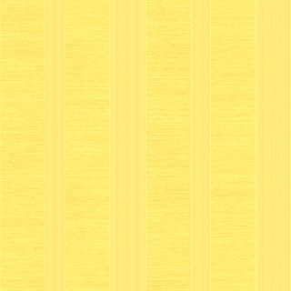 維吉尼亞(2H3004)