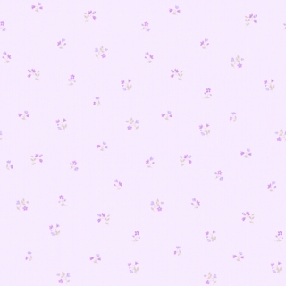 珍愛(176304)