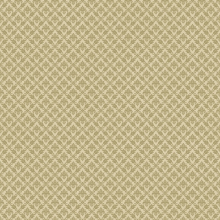 珍愛(176504)