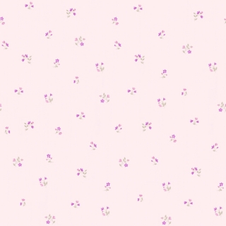 珍愛(176303)