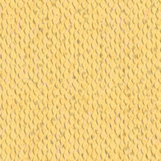 新潮流2(21194)