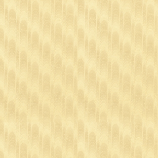 愛相隨(50033)