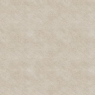 愛相隨(50072)