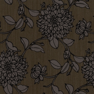愛相隨(50006)