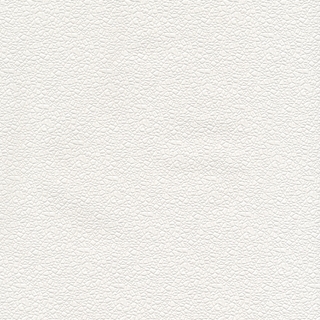 歐樺(88260)