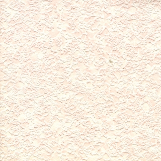 歐樺(90806)