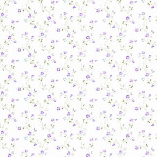 歐樺(89103)