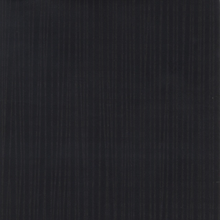 歐樺(89156)