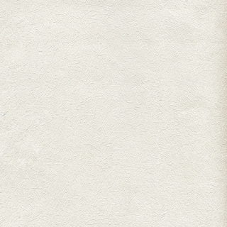 歐樺(65801)