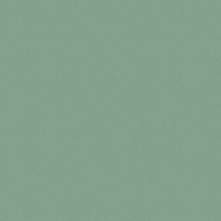 Color life II (FQF8X0514)