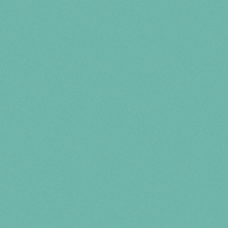 Color life II (FQF8X0505)