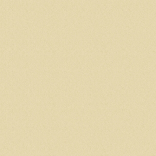 Color life II (FQF8X0302)