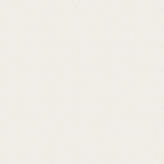 Color life II (FQF8X0206)