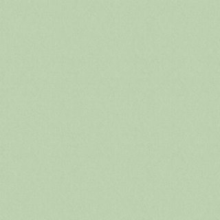 Color life II (FQF8X0513)