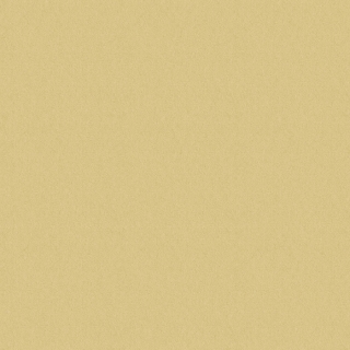 Color life II (FQF8X0303)