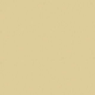 Color life II (FQF8X0304)