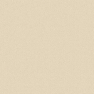 Color life II (FQF8X0311)