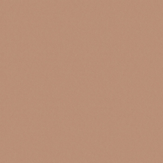 Color life II (FQF8X0313)