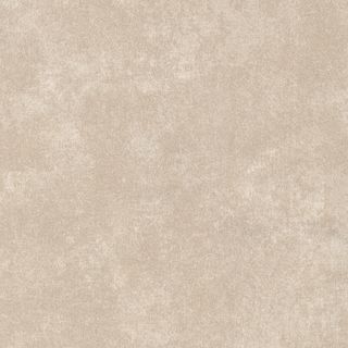 205(205604)