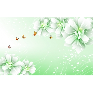 花彩印象系列(72-3-WBH0749)
