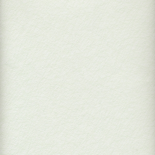 203(203304)
