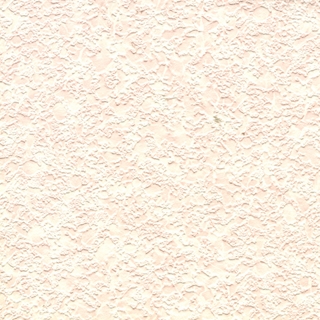 歐樺(90806)