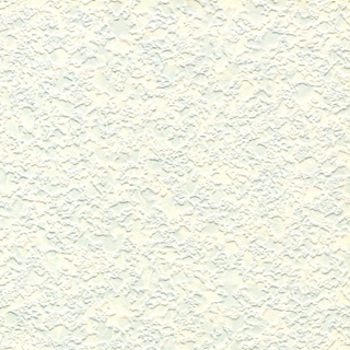 歐樺(90807)