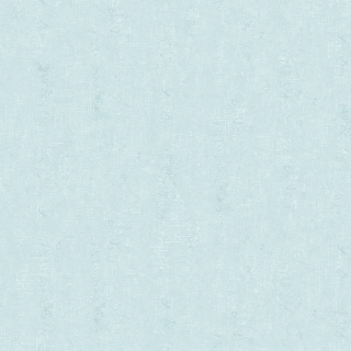 美素(CL0001)