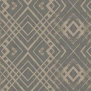 天1無縫(TAN-034)