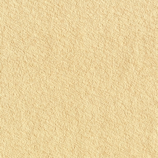歐樺(88075)