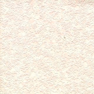 歐樺(90806)