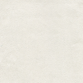 歐樺(65801)