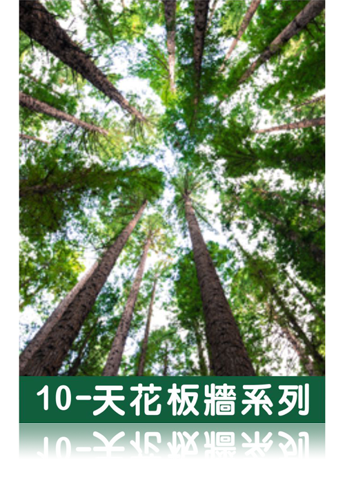 天花板牆